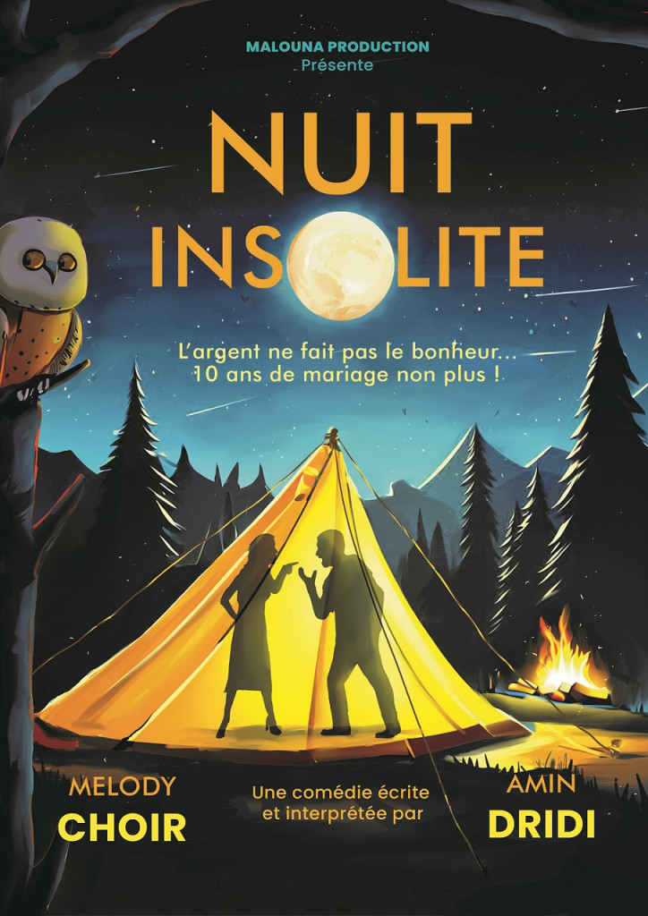 Nuit Insolite Affiche