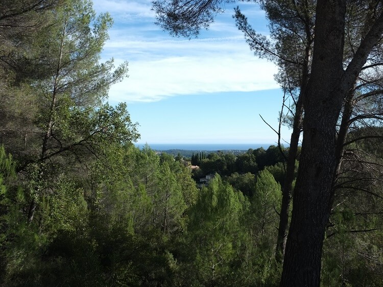 Bois communal au Rouret