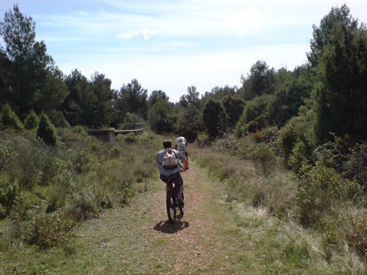 Sentier au Rouret