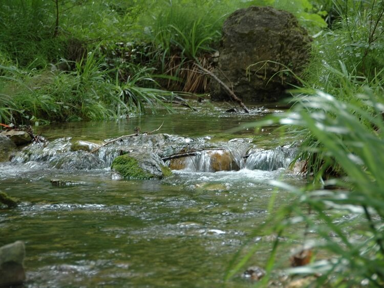 Cours d'eau au Rouret