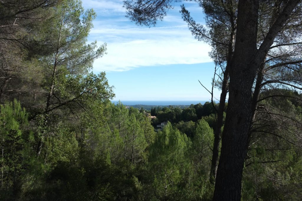 Bois communal du Rouret