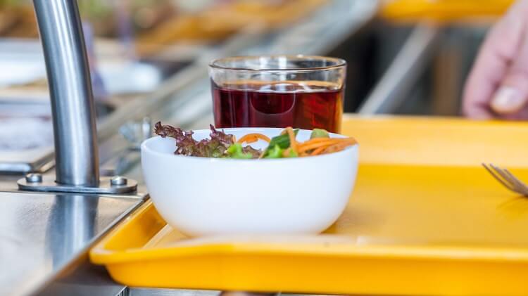 Plateau cantine au Rouret